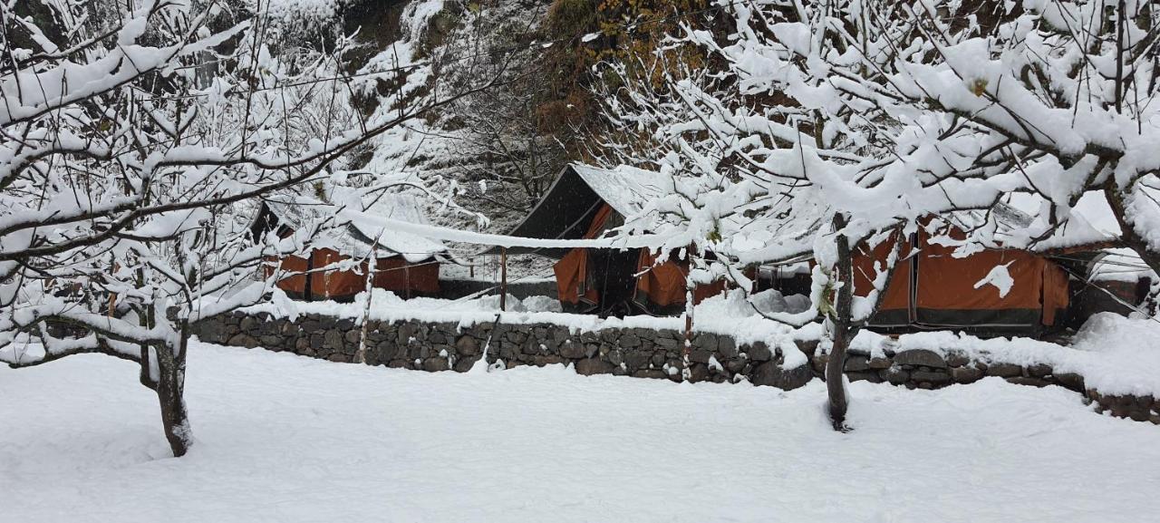 Himtrek Riverside Camps & Hostel Manali Esterno foto
