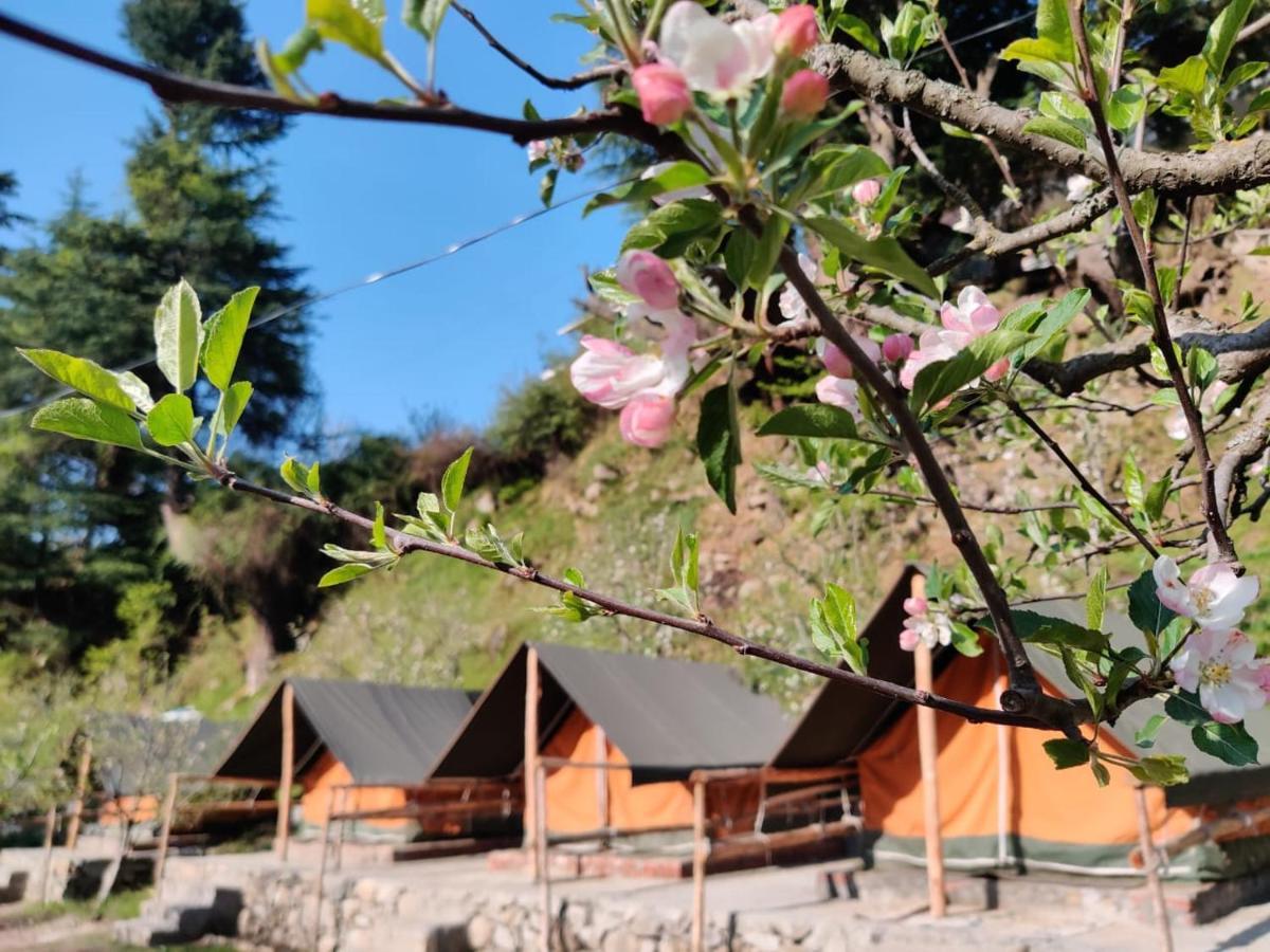Himtrek Riverside Camps & Hostel Manali Esterno foto