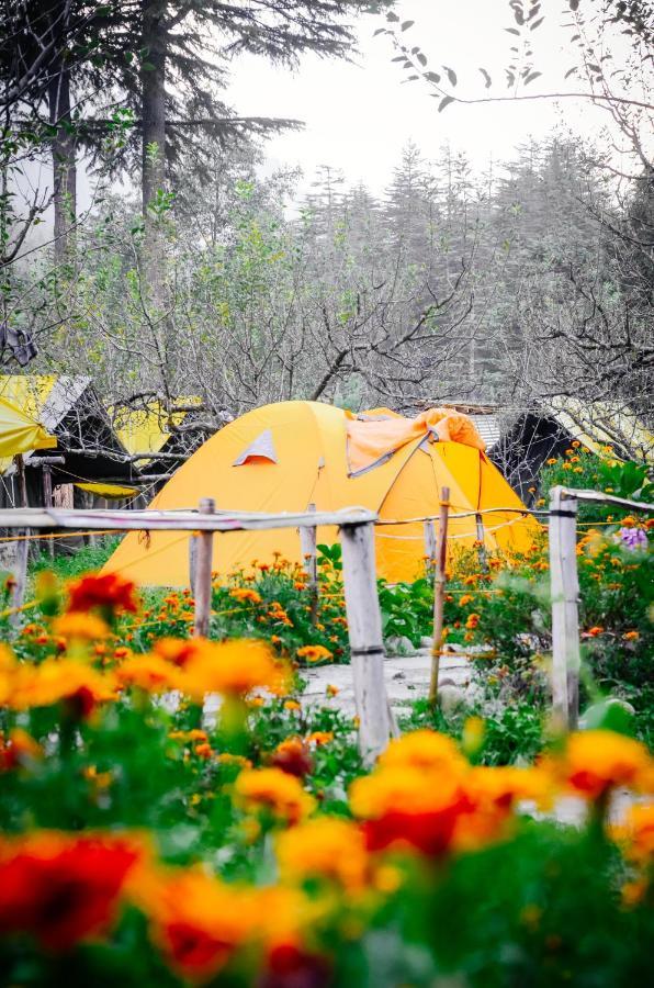 Himtrek Riverside Camps & Hostel Manali Esterno foto