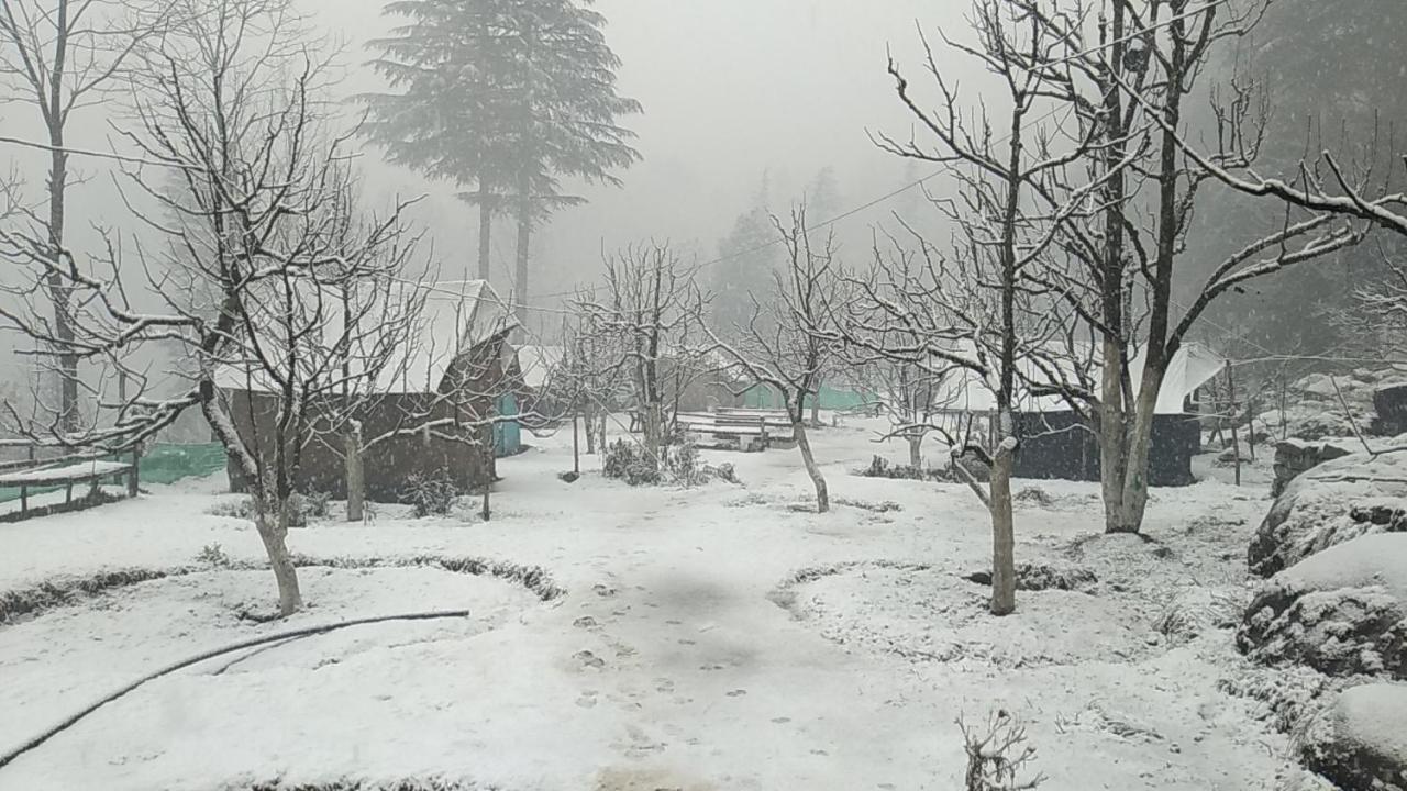 Himtrek Riverside Camps & Hostel Manali Esterno foto